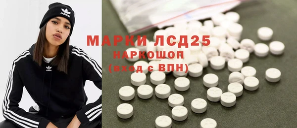 стафф Аркадак