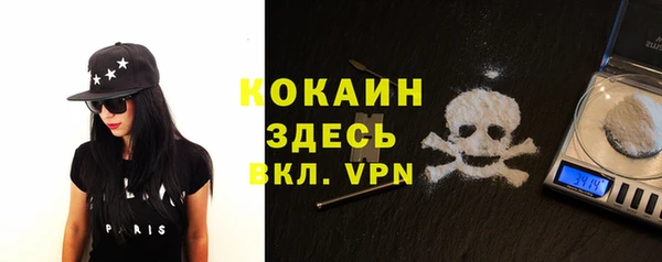 стафф Аркадак