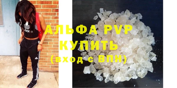 стафф Аркадак